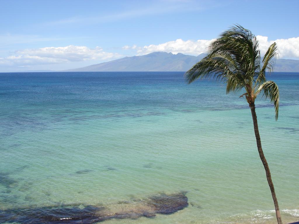 Kaleialoha Condominiums Lahaina Εξωτερικό φωτογραφία