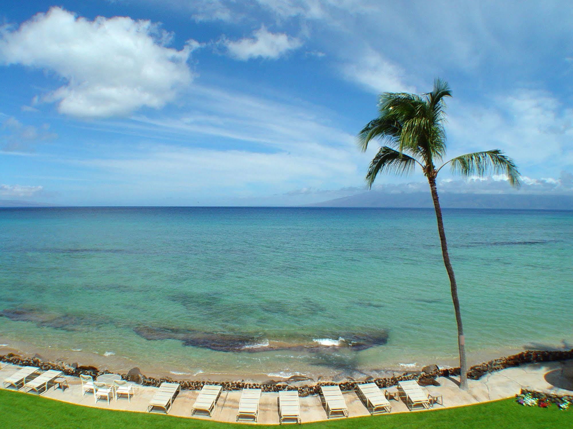 Kaleialoha Condominiums Lahaina Εξωτερικό φωτογραφία