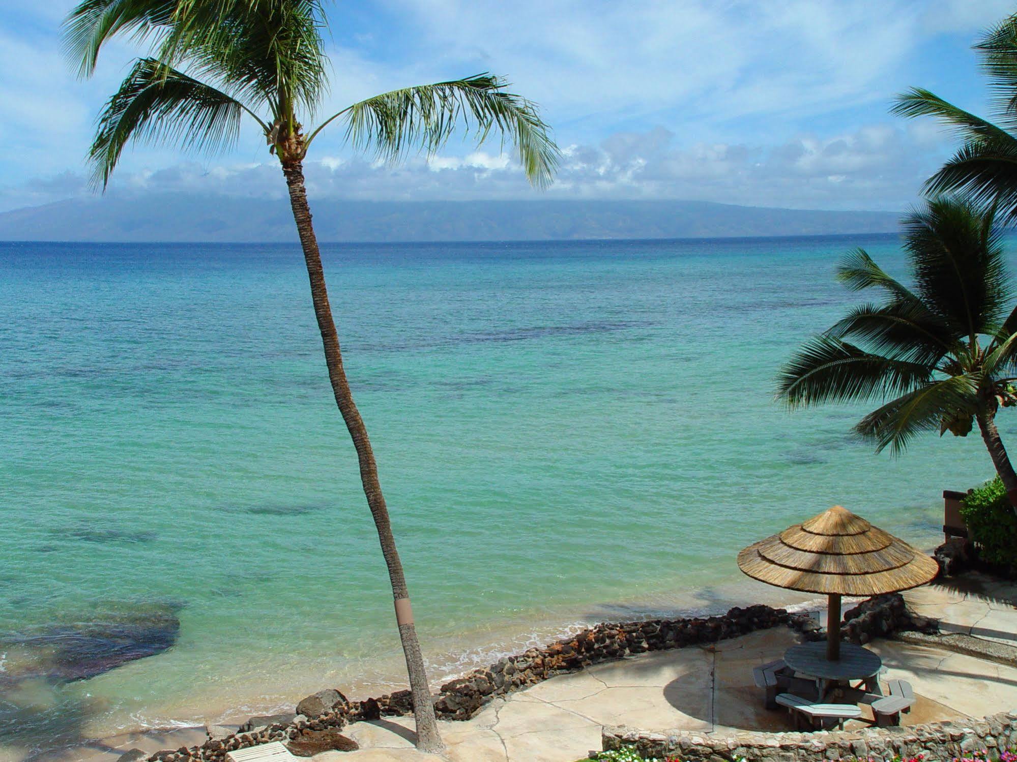 Kaleialoha Condominiums Lahaina Εξωτερικό φωτογραφία